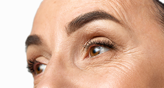 Anti-Aging & Heart
