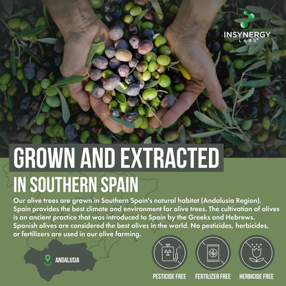 Olive Leaf Extract